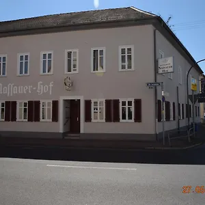 https://fair-hotel-frankfurt-nassauer-hof.hotelsheidelberg.net
